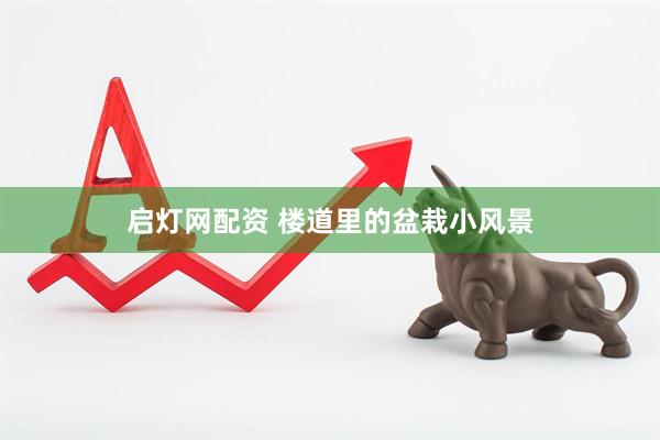 启灯网配资 楼道里的盆栽小风景