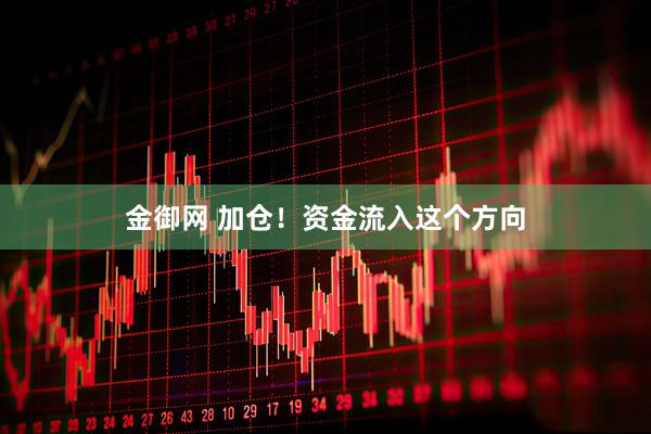 金御网 加仓！资金流入这个方向